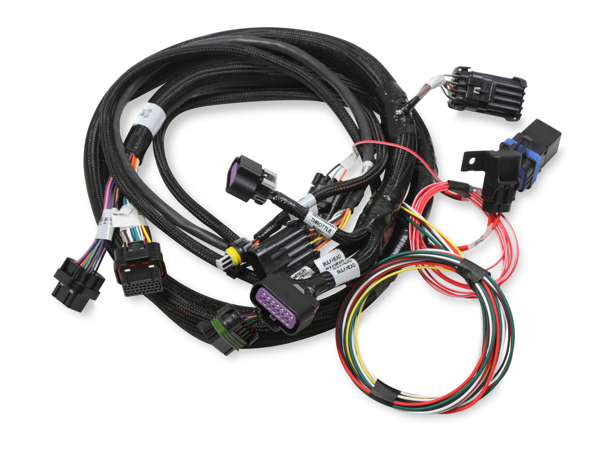 Holley EFI Terminator Stealth 2x4 Main Harness - 558-121