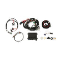 Holley EFI HP EFI ECU & Harness Kits - 550-601N