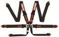 RaceQuip FIA 6 Point Camlock Harness Set - 851001RQP