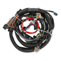 Holley EFI LS1/6 (24x/1x) Engine Main Harness - Extended Length - 558-133