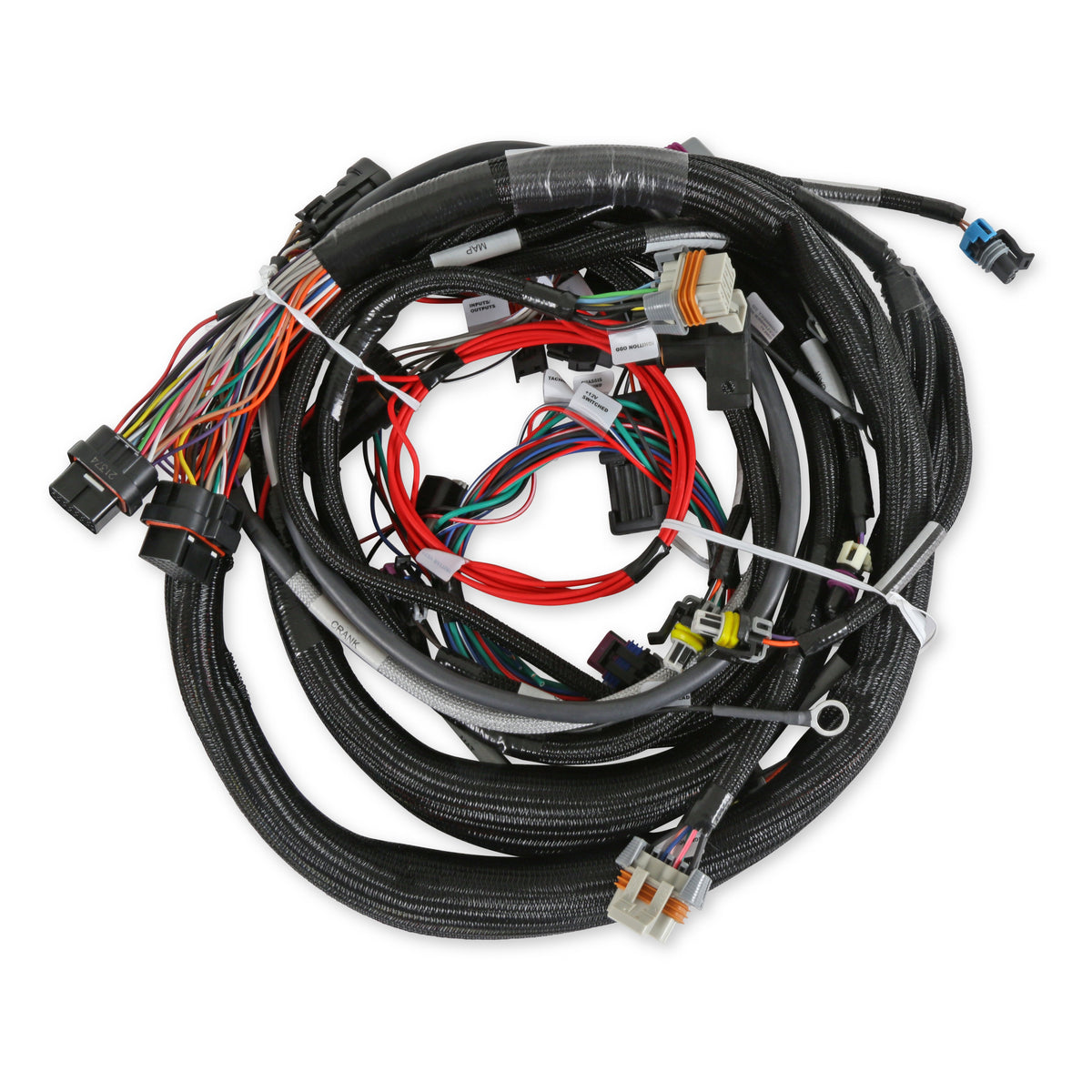 Holley EFI LS1/6 (24x/1x) Engine Main Harness - Extended Length - 558-133