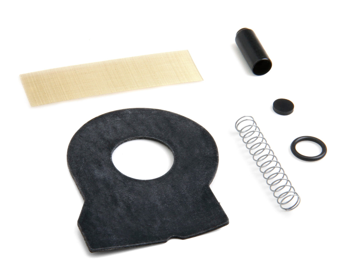 Holley Fuel Pump Check Valve Kit - 12-816