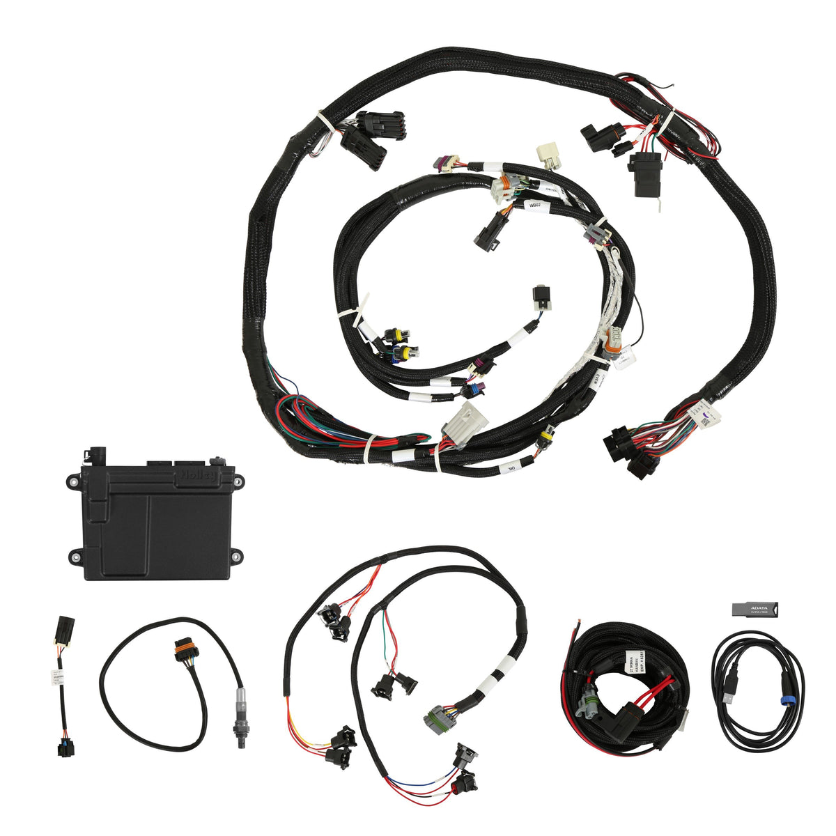 Holley EFI HP EFI ECU & Harness Kits - 550-607N