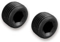 Earl’s 3/8" NPT Internal Plugs - AT593204ERL