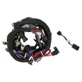 Holley EFI LS2/3/7+ (58x/4x) Engine Main Harness - 558-103