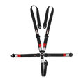 Simpson CAMFX 5PT 2x2" Harness - 1CFXD52KC
