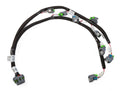 Holley EFI Gen III HEMI V8 Injector Harness - Stock/USCAR style injectors - 558-210