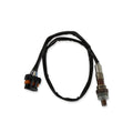 Holley EFI NTK Wideband Oxygen Sensor - 554-100