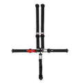 Simpson L&L,BOLT,2X2,NO PAD,Black,16.1 - 1B11NIKX
