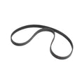 MSD Front Drive Distributor Belt - 8722