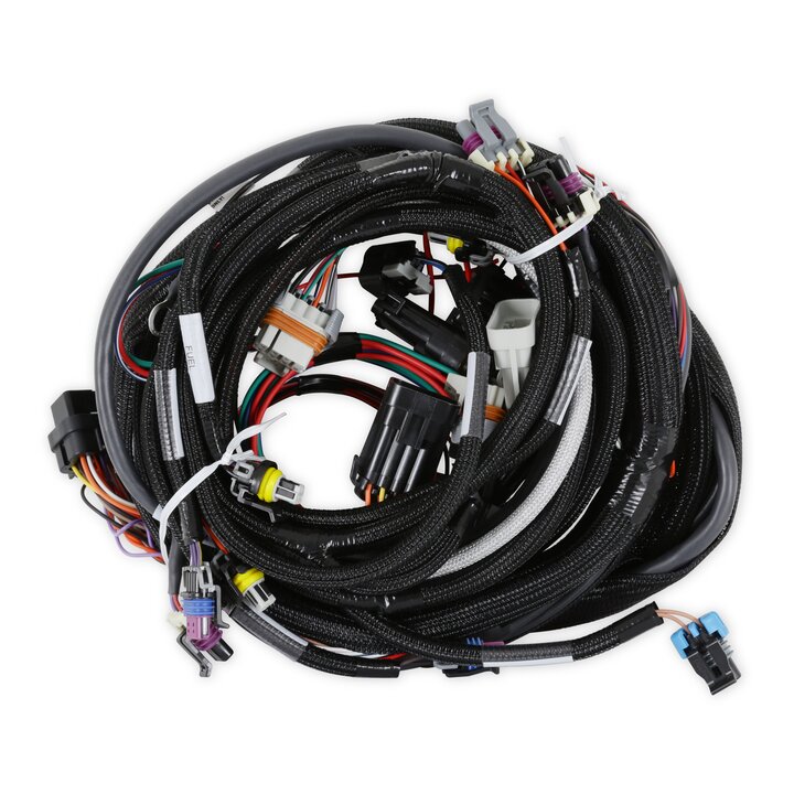 Holley EFI LS1/6 (24x/1x) Engine Main Harness - 558-102