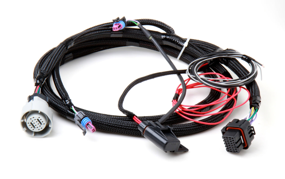 Holley EFI Transmission Control Harness - For 1996-2008 GM 4L60E and 4L80E - 558-405