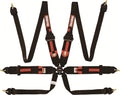 RaceQuip FIA 6 Point Camlock Harness Set - 854004RQP