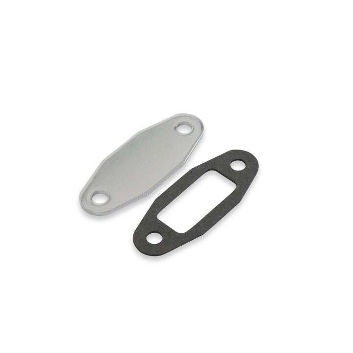 Mr. Gasket Fuel Pump Block Off Plate - Chrome - 1517