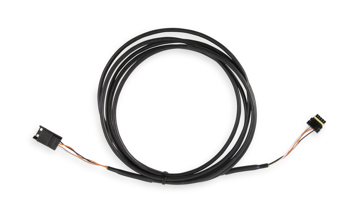Holley EFI CAN Adapter Harness, 8' - 558-453