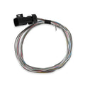 Holley Terminator X Input/Output Harness - 558-462