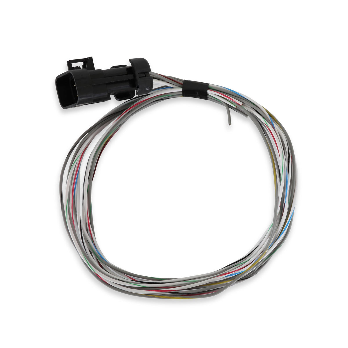 Holley Terminator X Input/Output Harness - 558-462