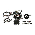 Holley EFI HP EFI ECU & Harness Kits - 550-617N