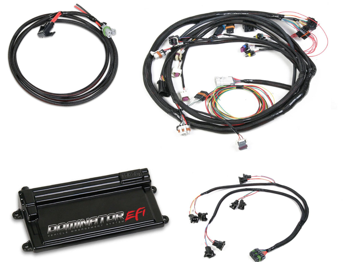 Holley EFI Dominator EFI Kit - Ford Main Harness with EV1 Injector Harness - 550-653