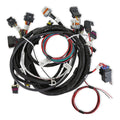 Holley EFI Main Engine Harness for 24x LS w/ TBI - 558-111