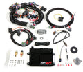 Holley EFI HP EFI ECU & Harness Kits - 550-604N
