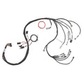 Holley EFI LS2/3/7+ (58x/4x) Engine Main Harness - Extended Length - 558-134