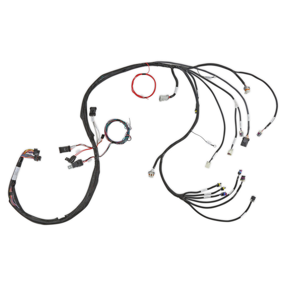 Holley EFI LS2/3/7+ (58x/4x) Engine Main Harness - Extended Length - 558-134