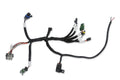 Holley EFI Benchtop Harness - 558-127