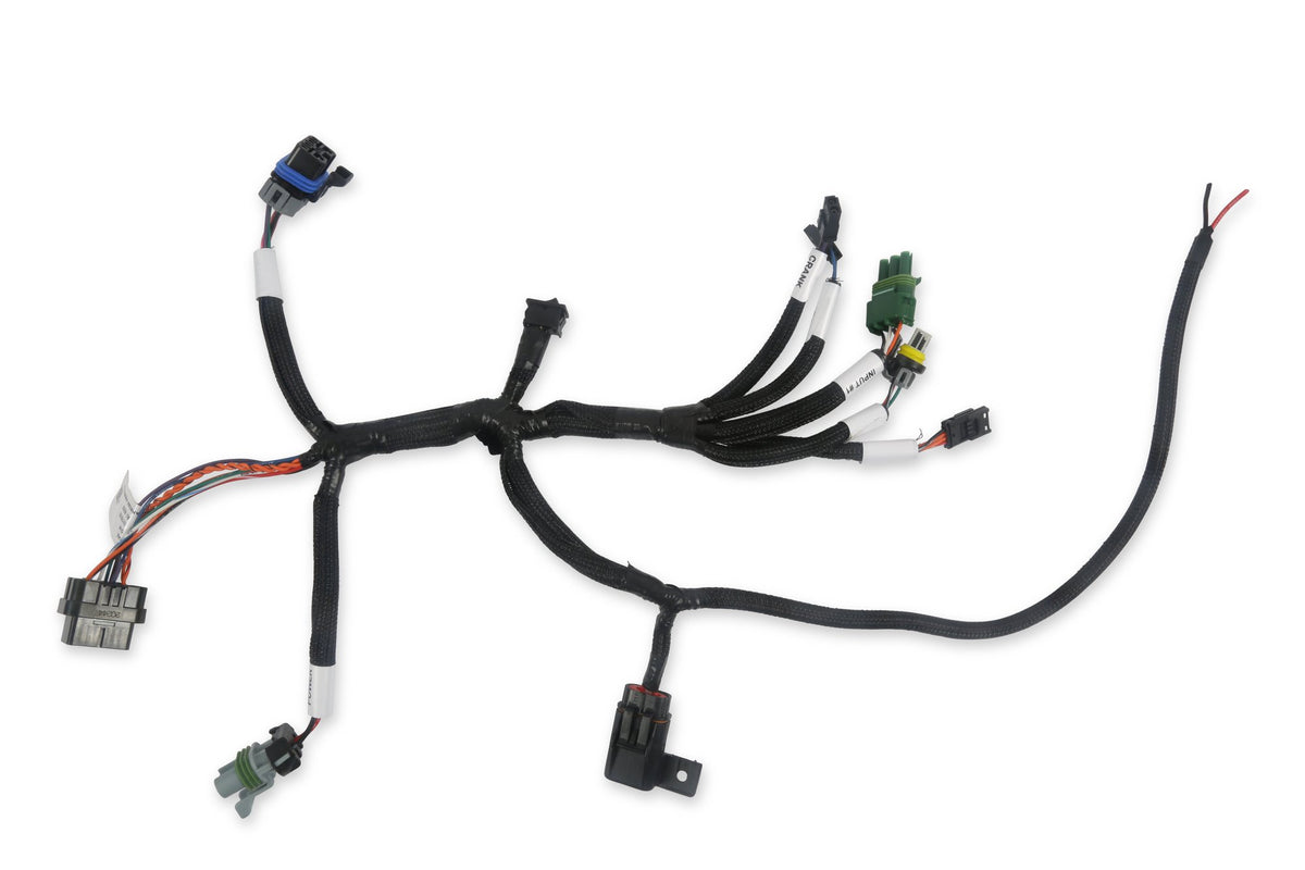 Holley EFI Benchtop Harness - 558-127