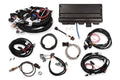 Holley EFI Terminator X Max - LS1/LS6 - 550-934T