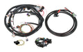 Holley EFI Universal Ford V8 Harness Kit - 558-508