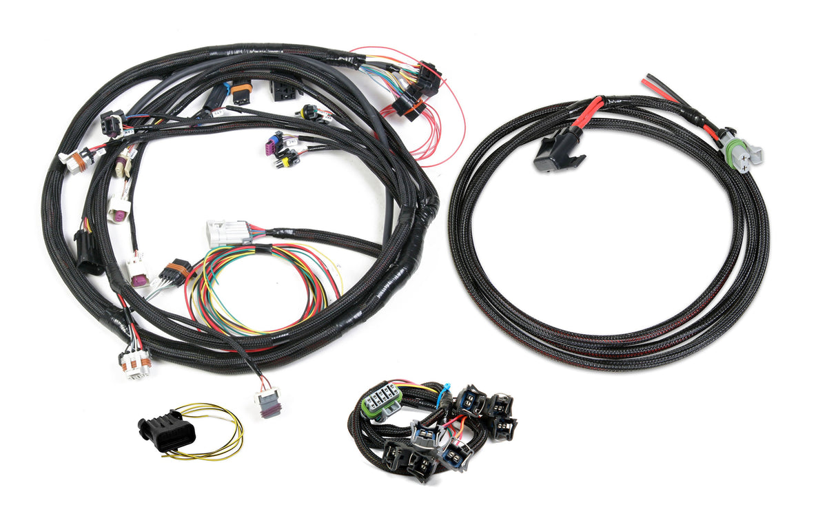 Holley EFI Universal Ford V8 Harness Kit - 558-508