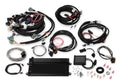 Holley EFI Terminator LS MPFI Kit - 550-613