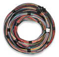 Unterminated 15' Flying Lead Main Harness 558-126