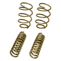 Hurst Stage 1 Performance Spring Kit - 6130001