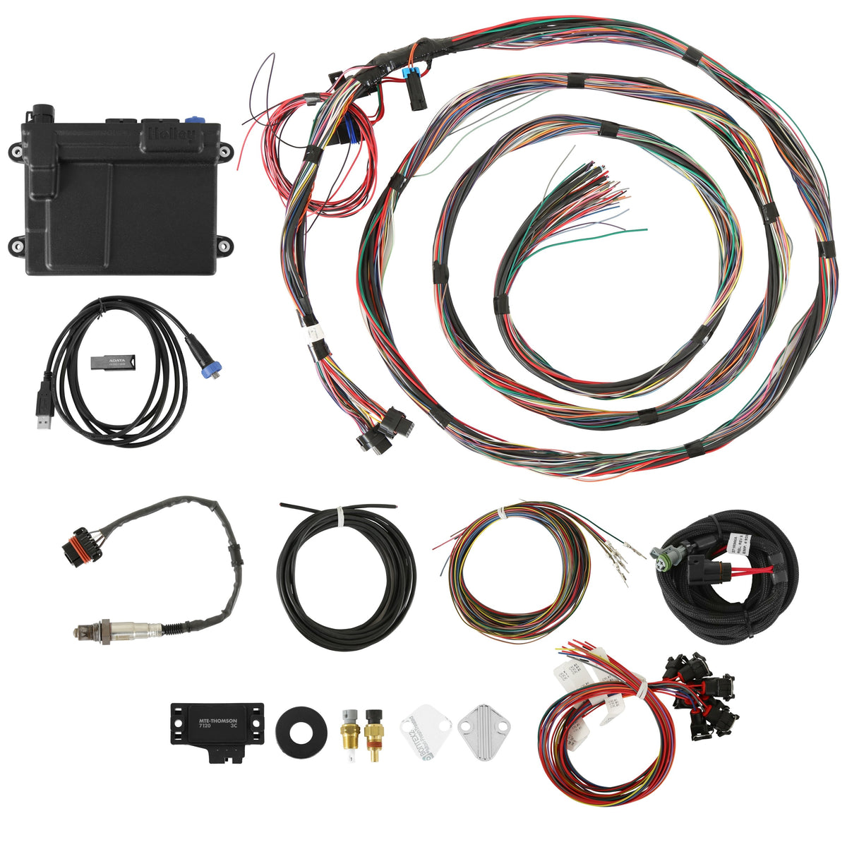 Holley EFI HP EFI ECU & Harness Kits - 550-605