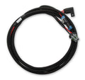 Holley EFI Main Power Harness for Coyote Ti-VCT Applications - 558-319