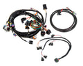 Holley EFI GM LS 24X EFI HARNESS KIT - 558-500