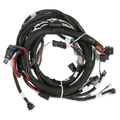 Holley EFI Gen V LT Engine Main Harness - 558-129