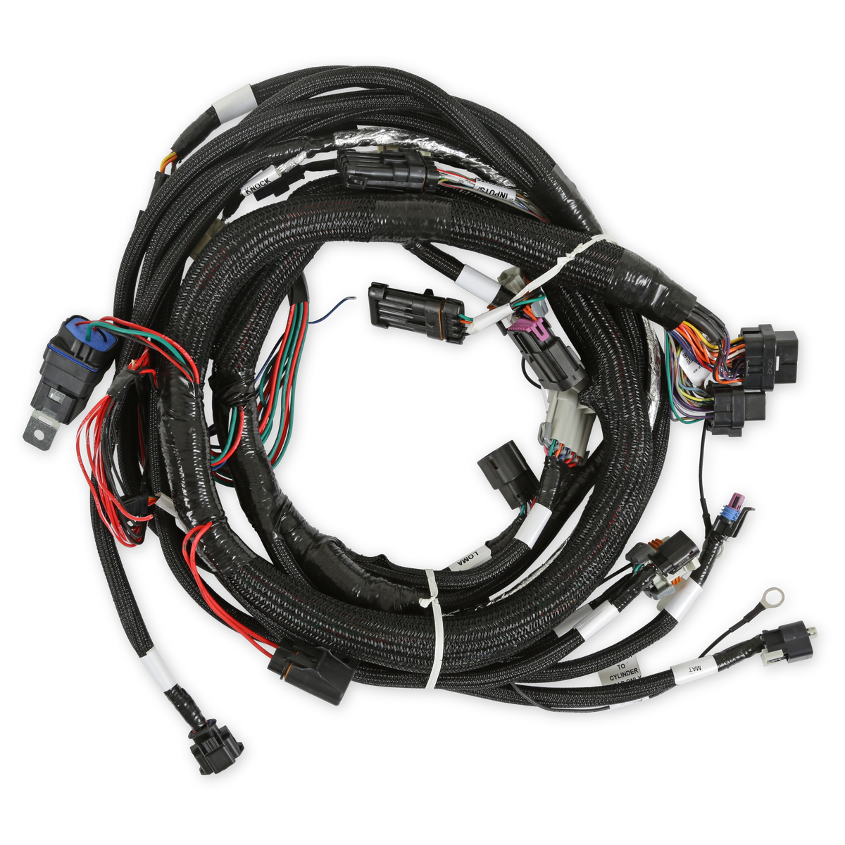 Holley EFI Gen V LT Engine Main Harness - 558-129