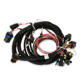 Holley EFI Terminator Main Harness - 558-414