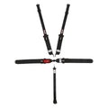 Simpson Latch and Link Bolt-In 5-Point Harness - 29063BKH1X