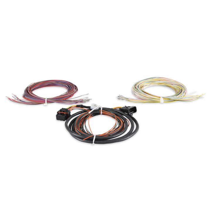 Holley EFI Dominator EFI Auxiliary Harness - 558-401