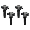 MSD COIL, BLACK, FORD ECO-BOOST 2.0L L4, SET OF 4 - 825974