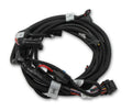 Holley EFI Ford Coyote Ti-VCT Sub Harness (2011-2012) - 558-124