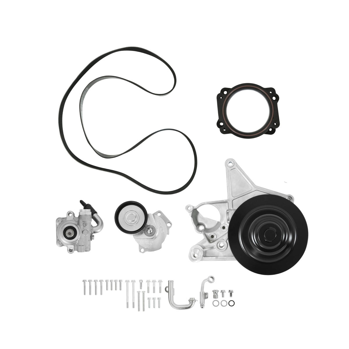 Holley Power Steering Add-on System for LT5 - 20-233