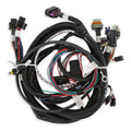 Holley EFI Main Engine Harness for 58x LS w/ TBI - 558-112