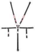 RaceQuip Youth Camlock 5 Point Racing Harness Set - 739009RQP