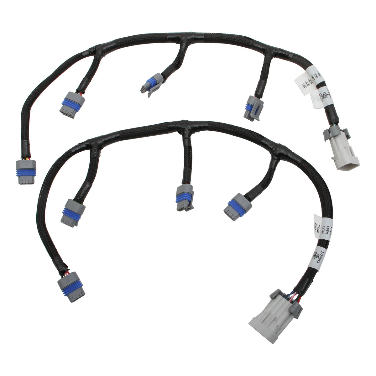 Holley EFI LS COIL HARNESSES - 558-321